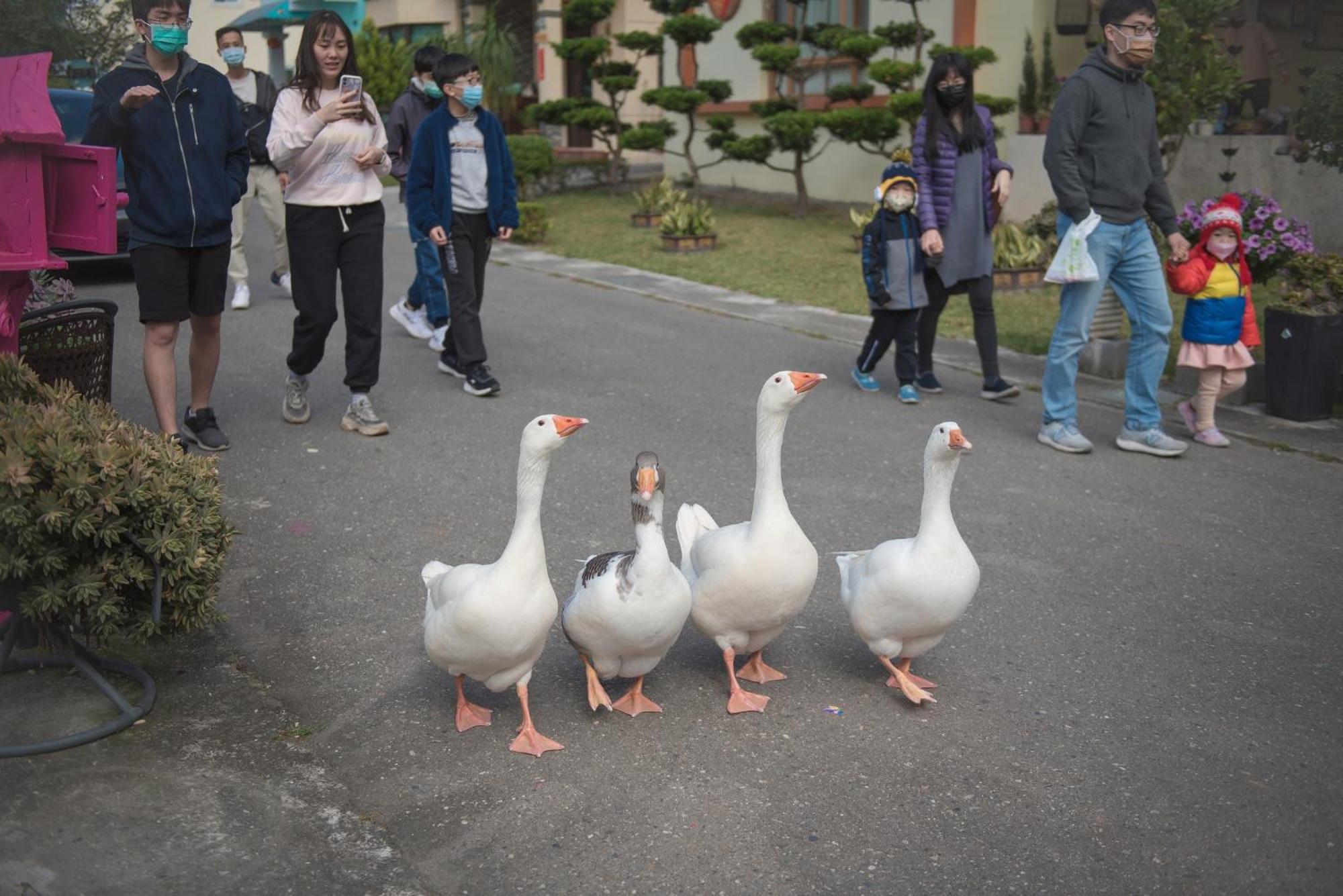 Xinfu Traveler Inn Taiping  Bagian luar foto